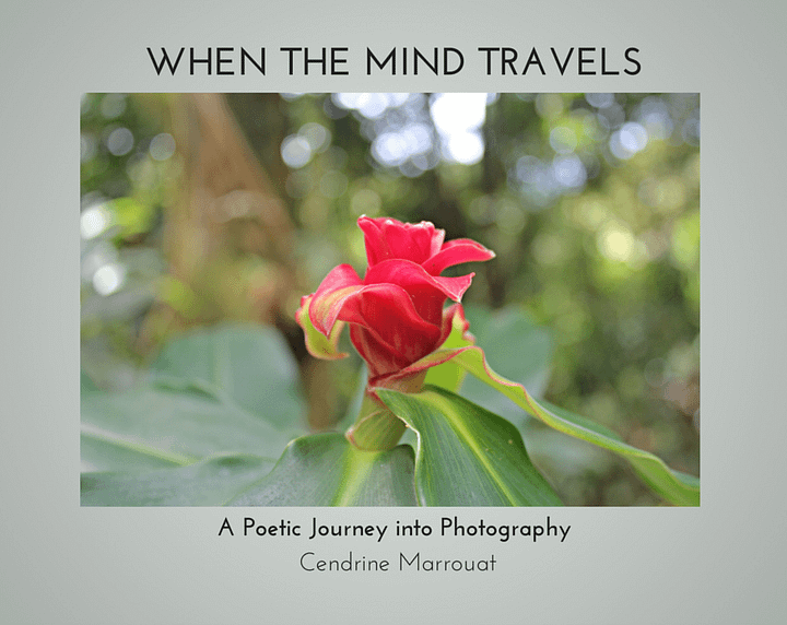 When the Mind Travels: A Poetic Journey into Photography product image (1)
