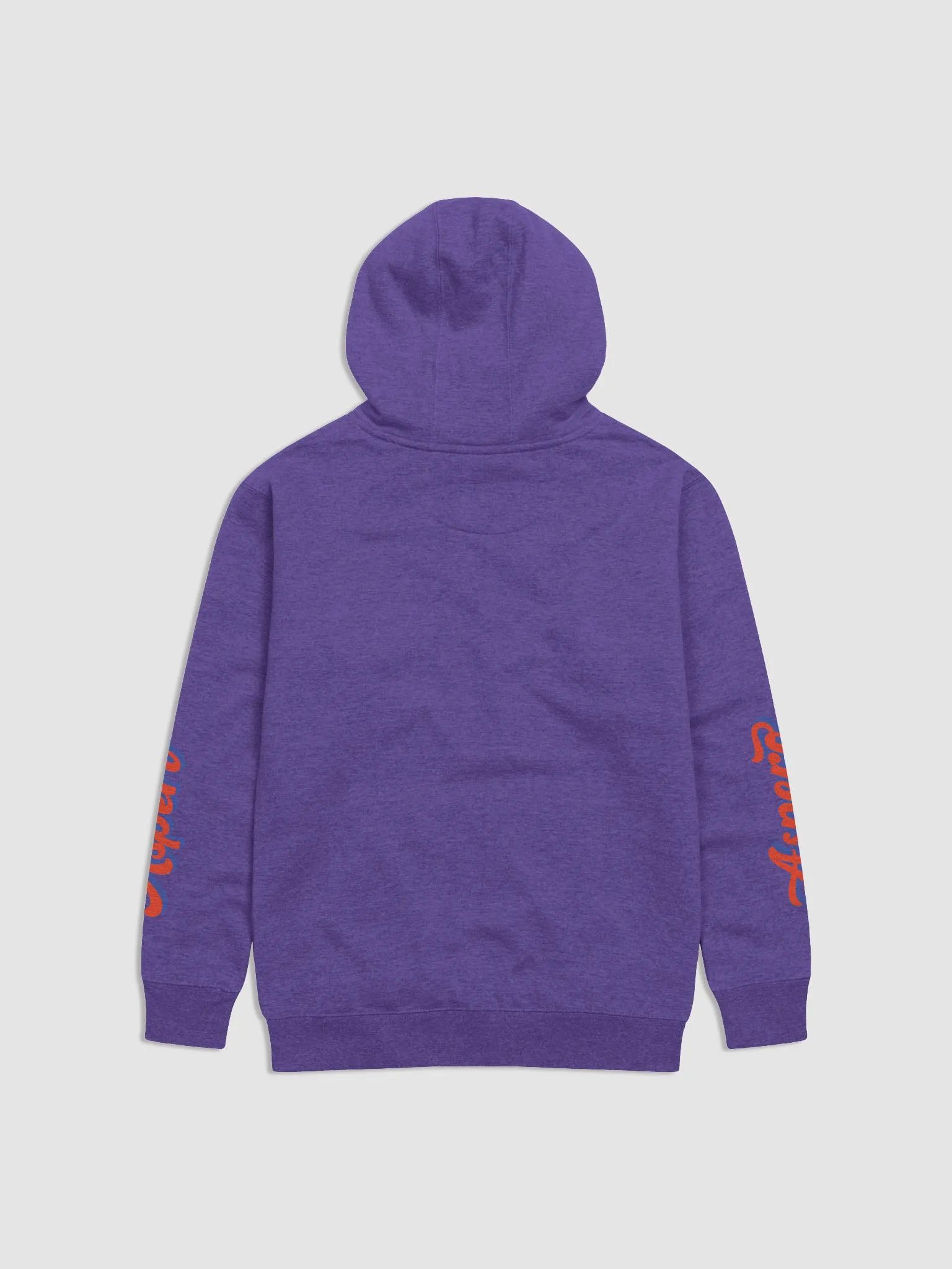 Aspero Scripted Hoodie product image (6)