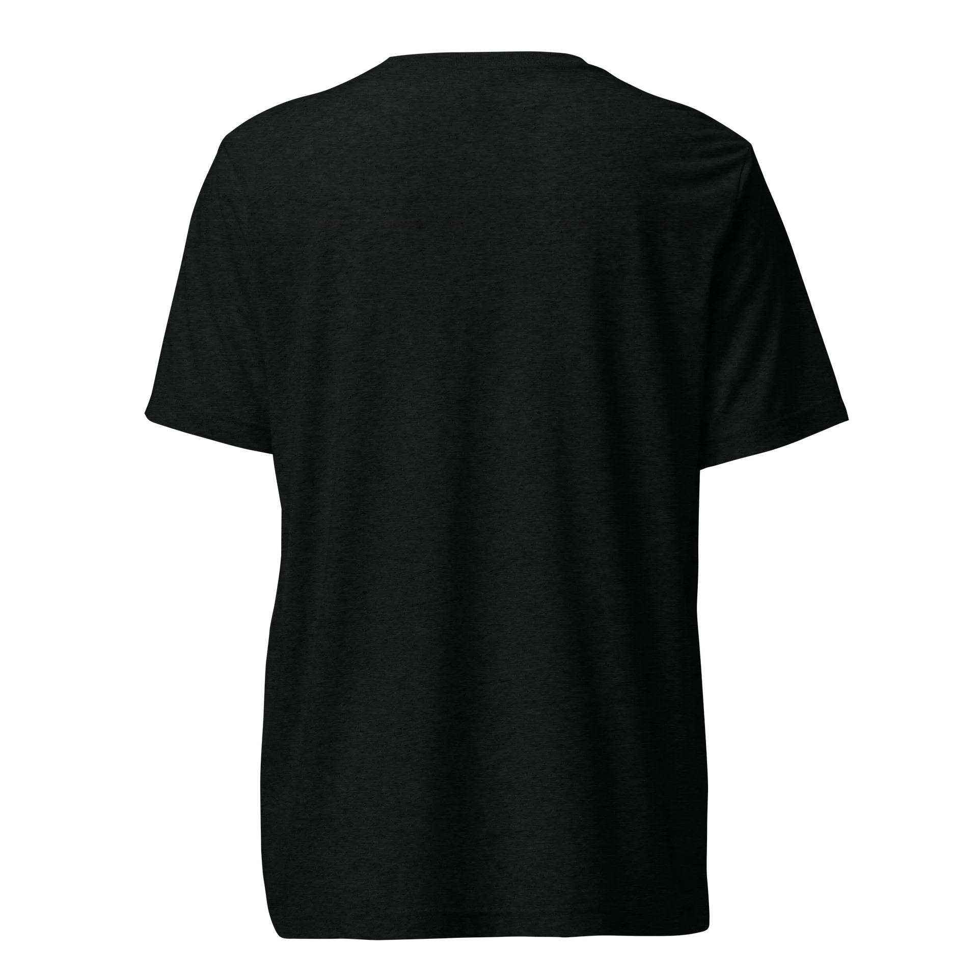 Stitched Skelly Triblend T-shirt product image (3)