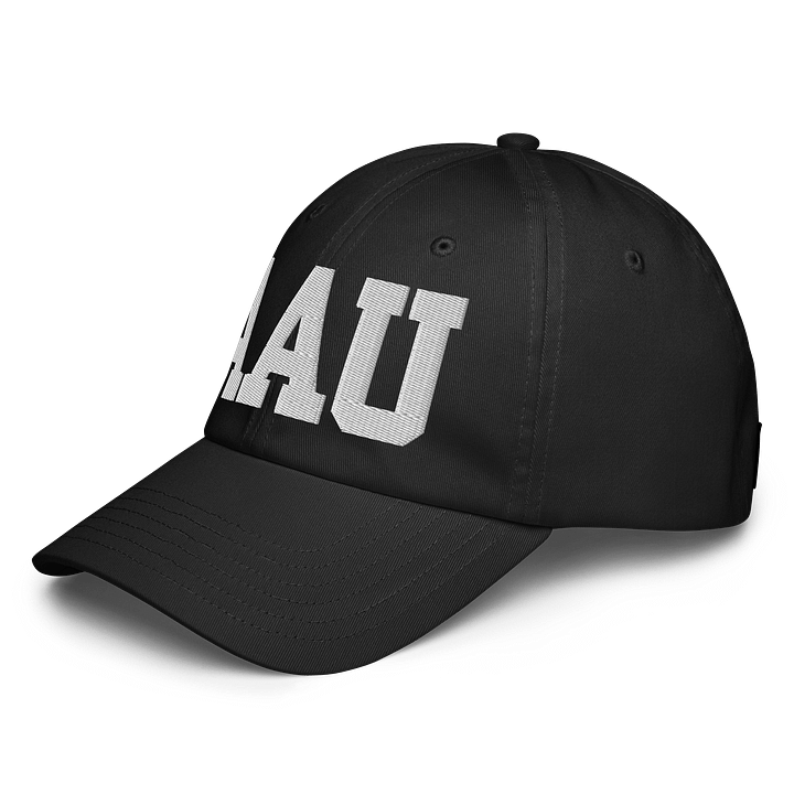 AAU Dad Hat product image (6)