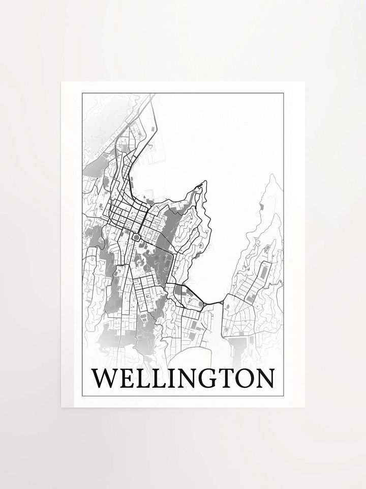 Wellington, New Zealand, city map print product image (3)