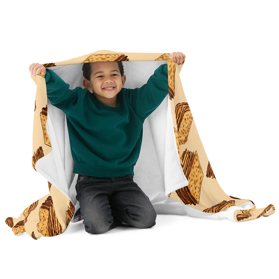 Passover Blanket with Matzah Pattern product image (15)