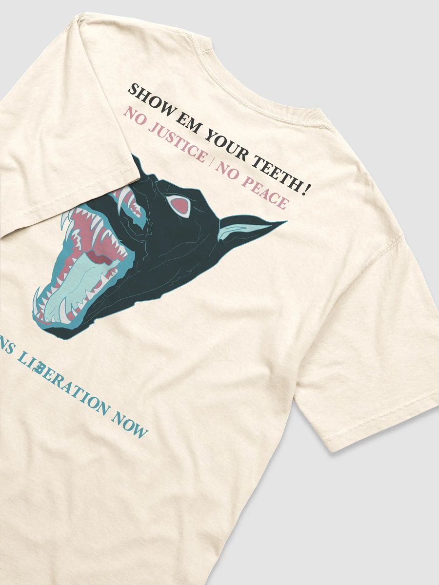 S.E.Y.T. shirt 2 product image (3)