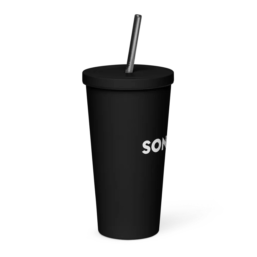 Insulated Tumbler with a Straw product image (3)