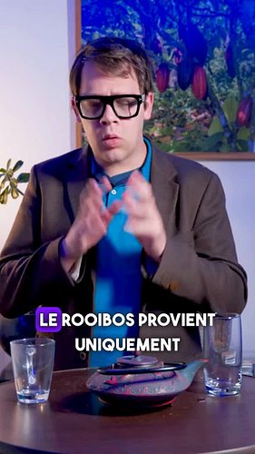 Le rooibos, ce n’est pas du thé ! Découvrez ses vraies origines, sa botanique unique et pourquoi il ne pousse qu’en Afrique d...