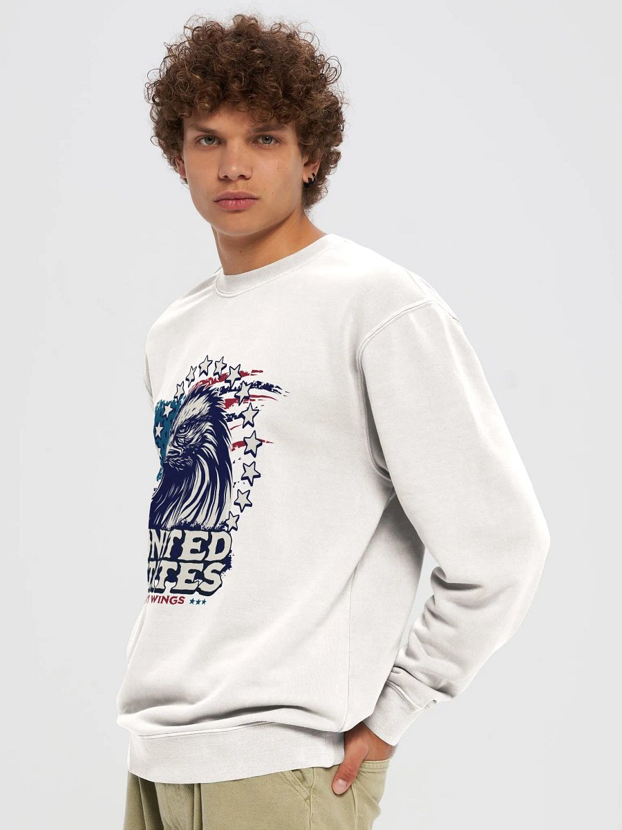 Eagle State Sweatshirt #1 product image (3)