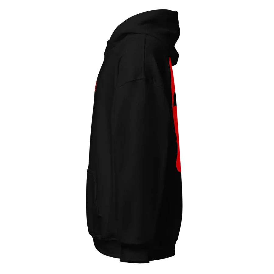 GODS NEVER DIE HOODIE product image (5)