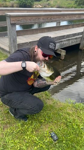 Not a bad day out with the wife #fishing #bass #fish #angler #wife #irl #clips
