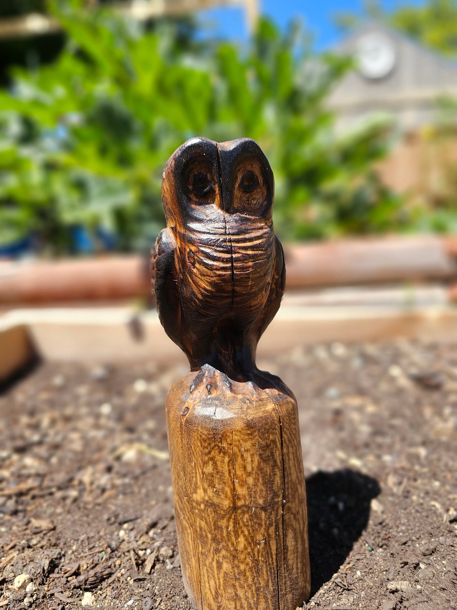 Small Owl Carving product image (5)