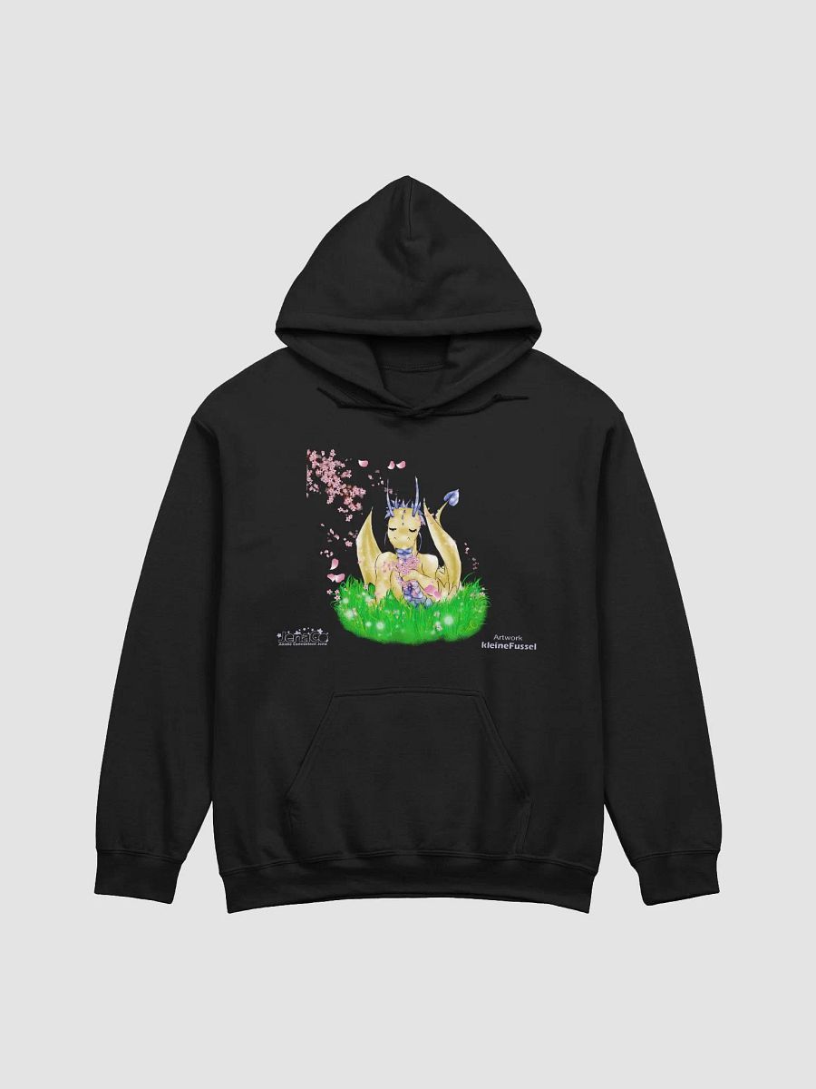 JenaCo III - Hoodie product image (3)