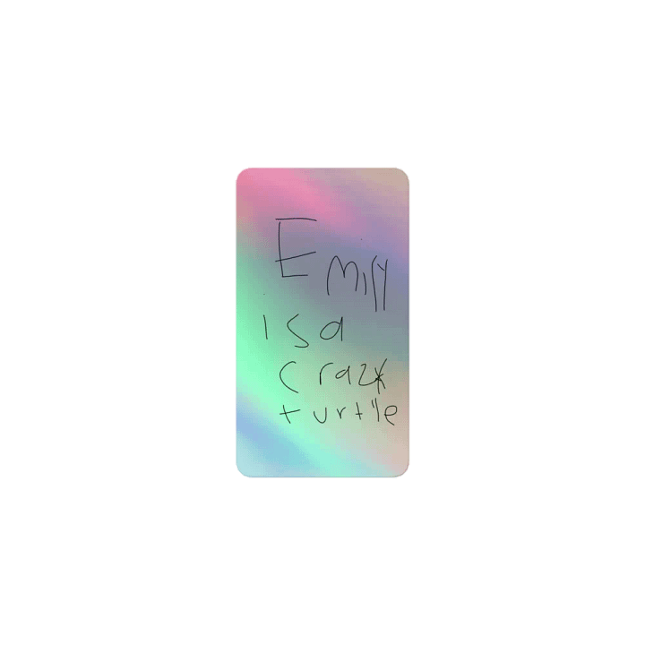 Emily is a crazy turtle product image (1)