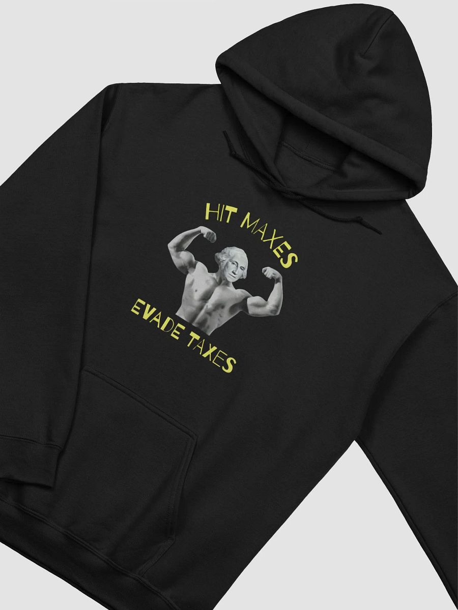 Hit Maxes Evade Taxes Hoodie product image (2)