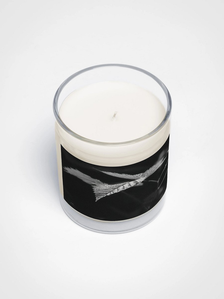 Sunlight on a Salmonberry Leaf Soy Wax Candle product image (3)