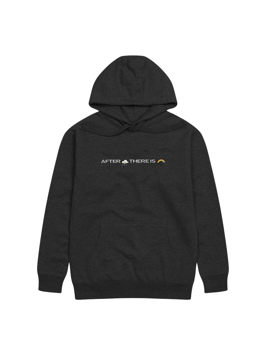Rainbow Hoodie product image (3)