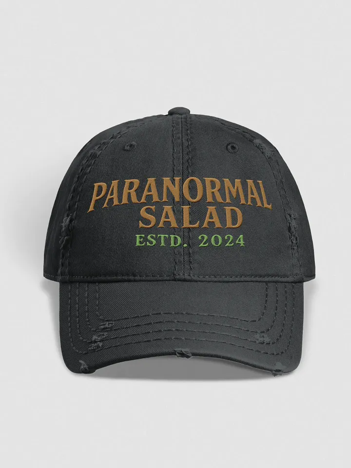 Paranormal Salad Legacy Collection – Official JAX Ember Hat product image (1)