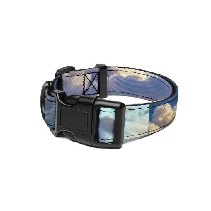 TC Collar product image (1)