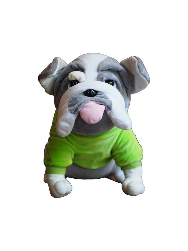 Gus 2.0 product image (1)