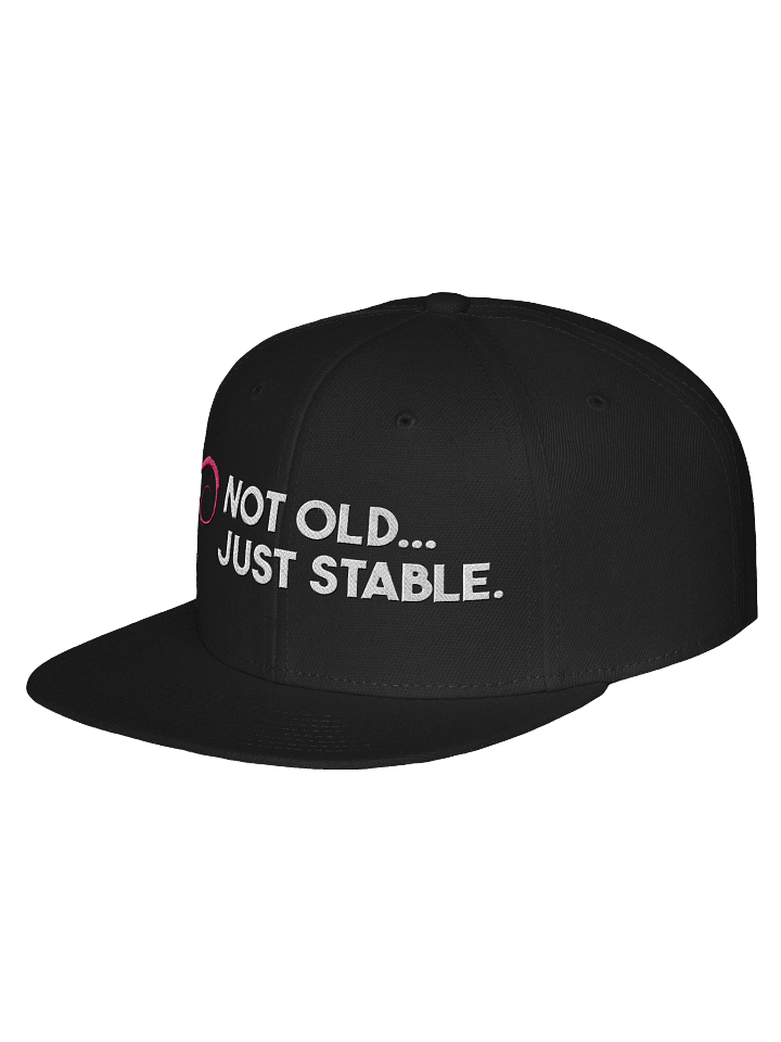 Debian Stable Flat Bill product image (8)