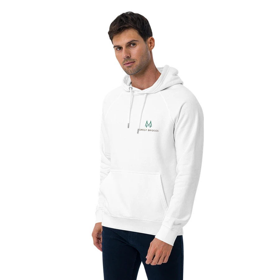 Forest Bridges Hoodie with Logo on Front & Emblem on Back product image (24)