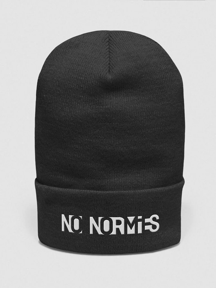 NO NORMIES beanie product image (1)