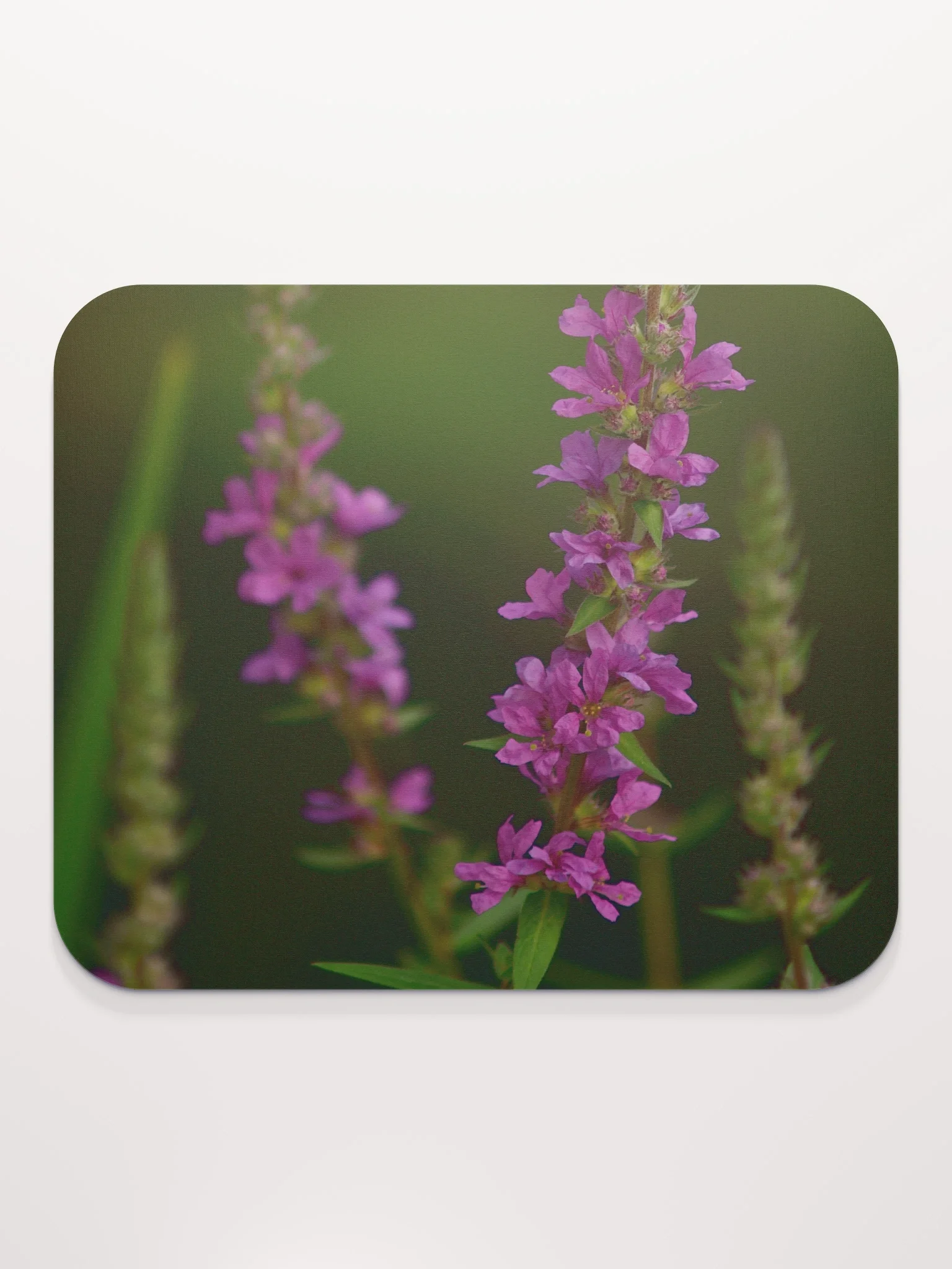 Mauspad - Violette Blüten vor dunklem Hintergrund product image (2)