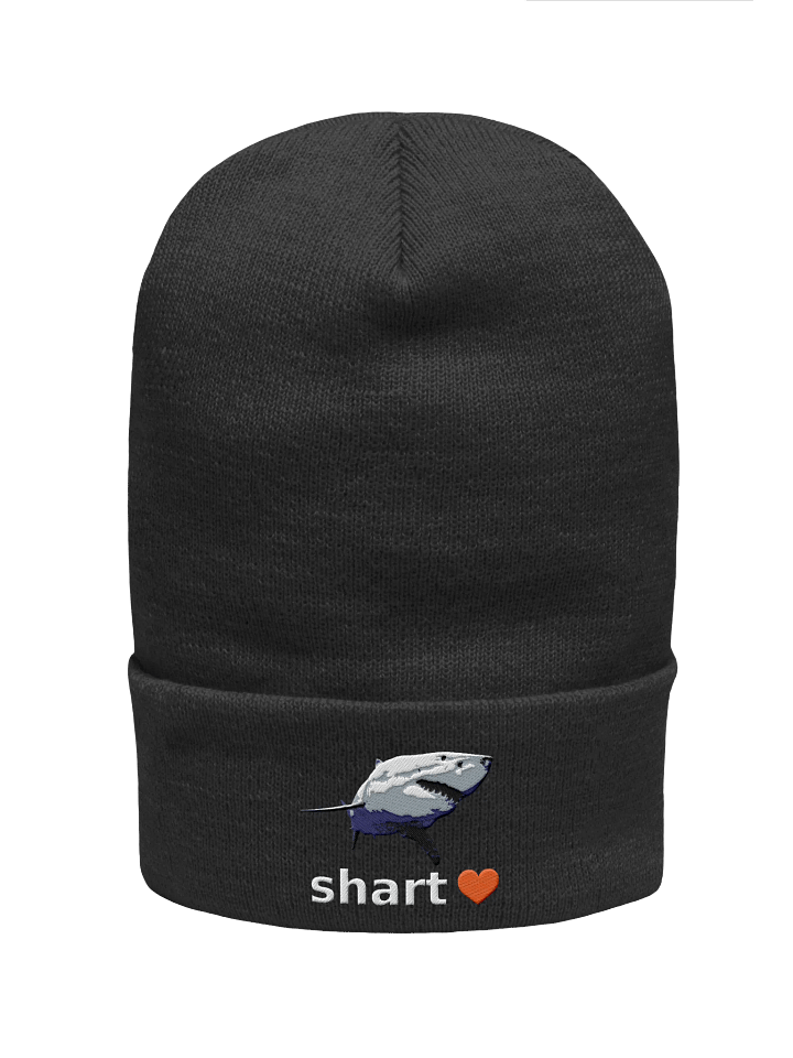 shart beanie product image (1)