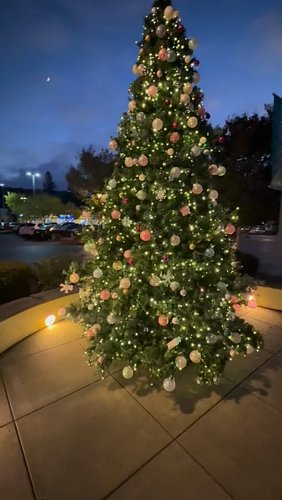 Pacheco Plaza is hosting Family Giving Tree’s Holiday Wish Drive again this year! 🎄Please pick a tag and purchase a gift for ...