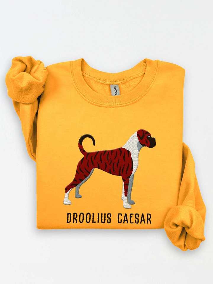 Droolius Caesar Sweatshirt (Embroidered) of a Boxer(Brindle & White) product image (1)