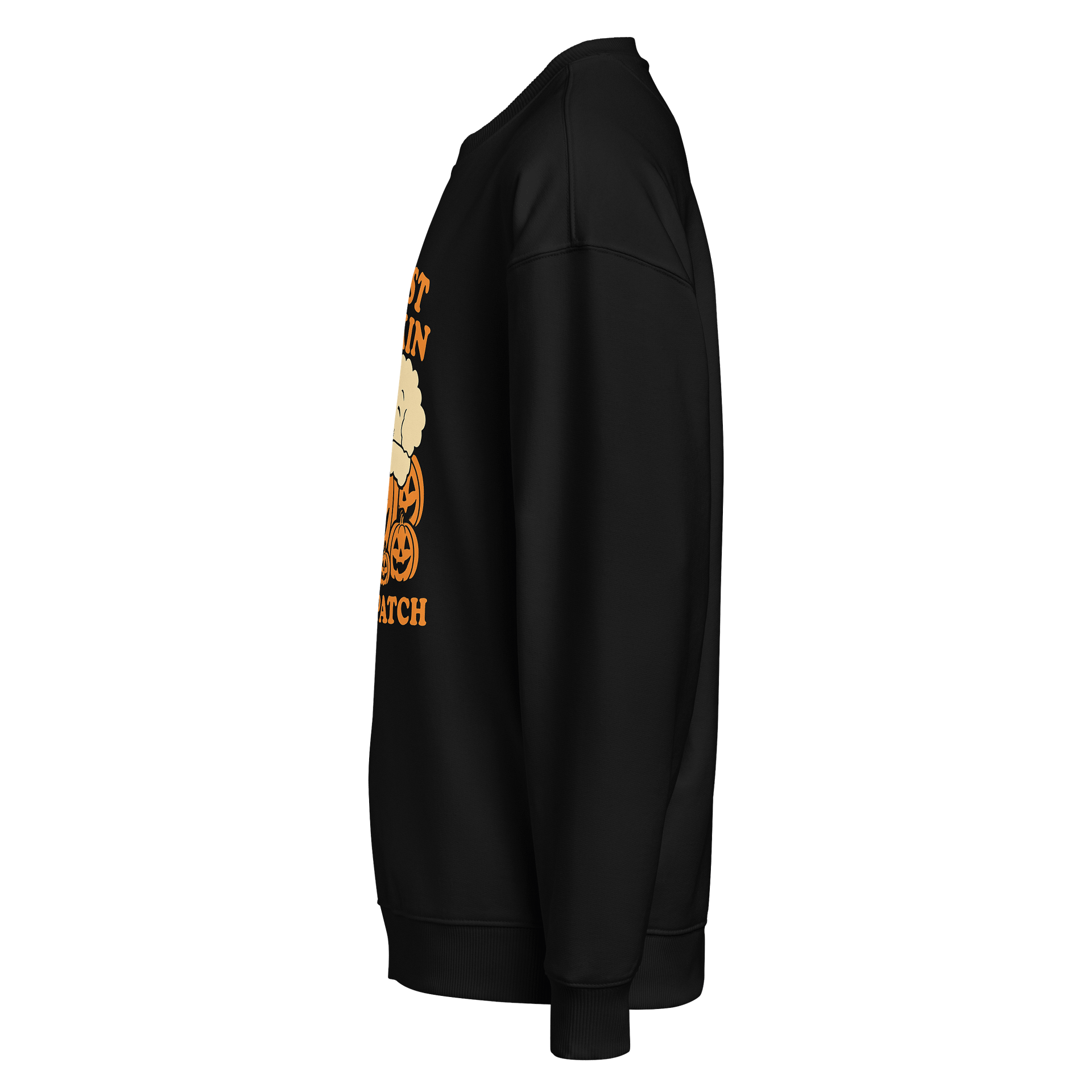 Cutest fall doggo sweater product image (3)