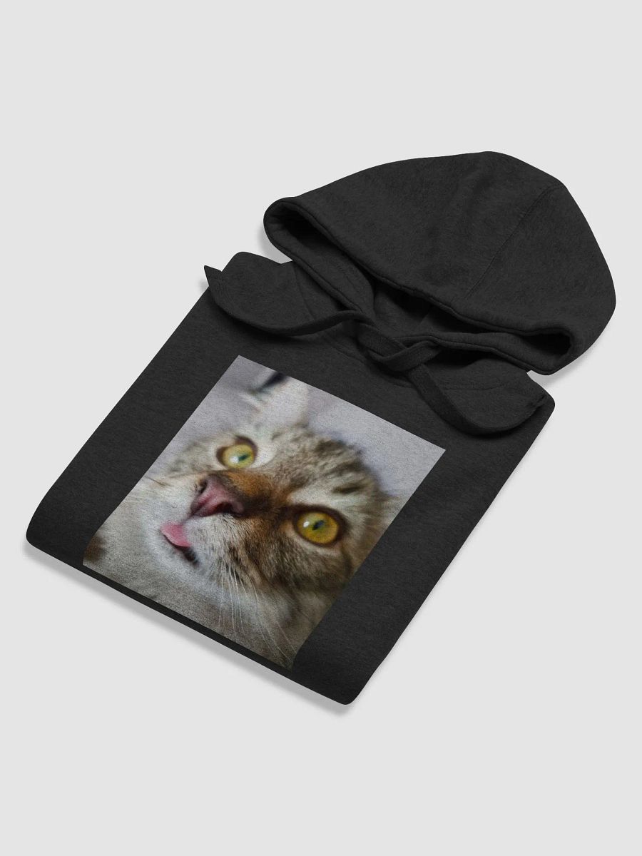 FidgGOON Hoodie product image (48)