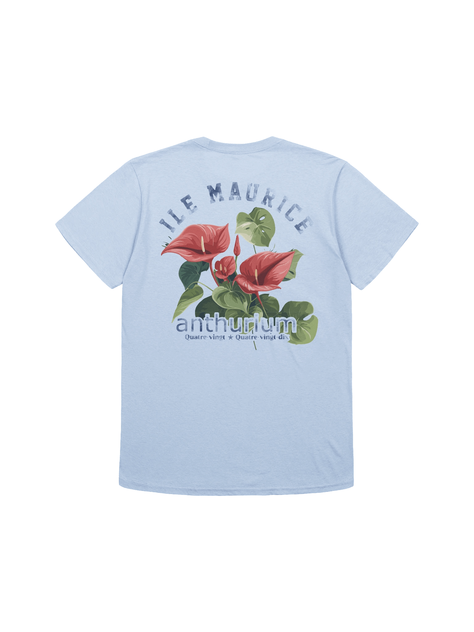 Anthurium 90s –Mauritius product image (3)