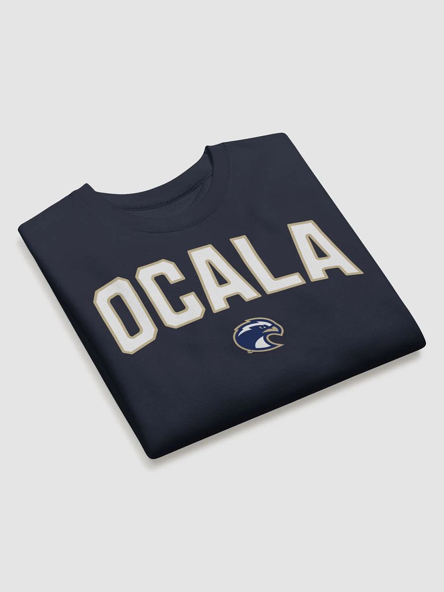 Ocala Eagle Emblem Sweatshirt product image (3)