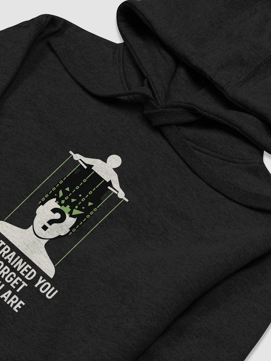 They trained you to forget who you are Hoodie product image (3)