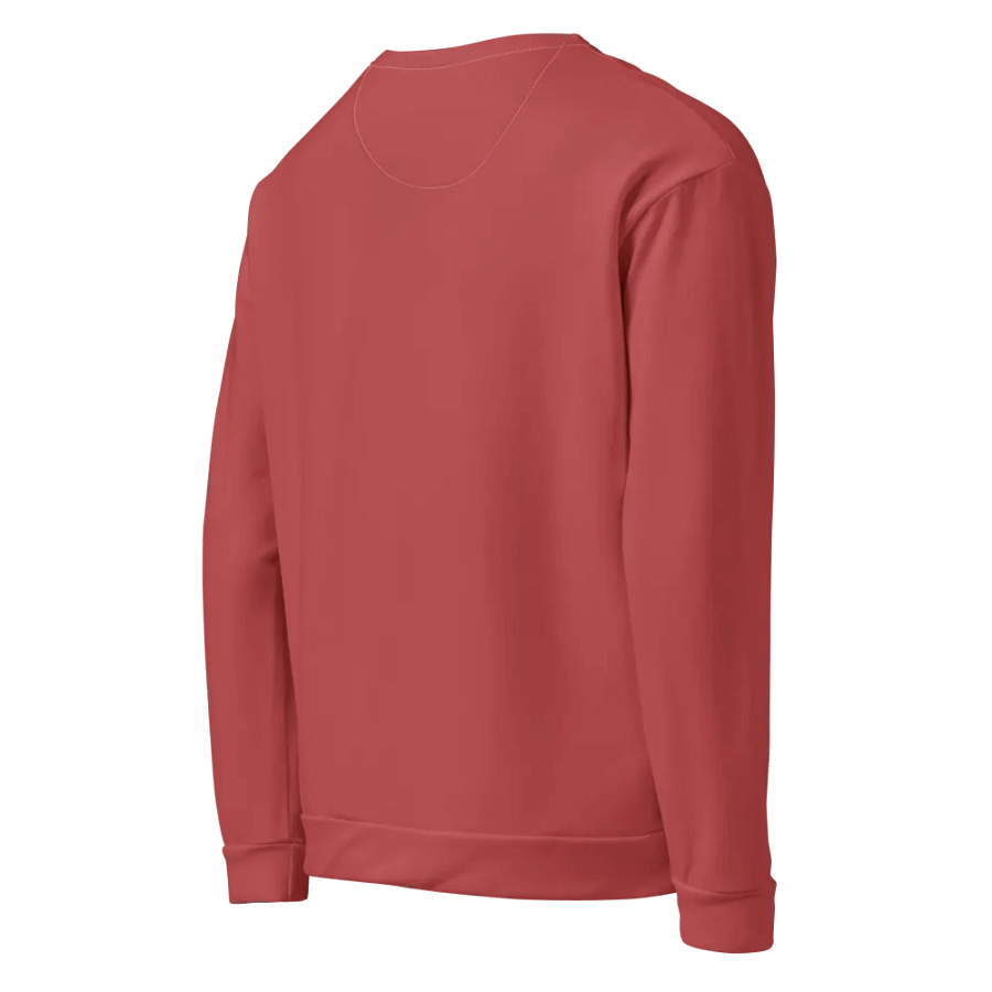 Plain Brick Red Soft Summer Unisex Recycled Polyester Heavyweight Premium Sweatshirt by Treasure Pie product image (6)