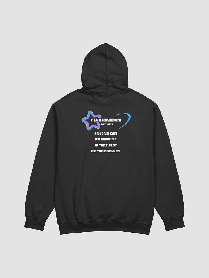 PLUR Kingdom Hoodie product image (2)