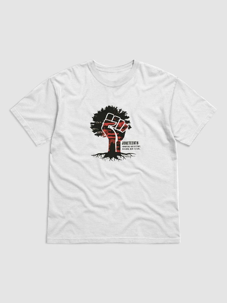 Rooted in History, Reaching for the Future product image (2)