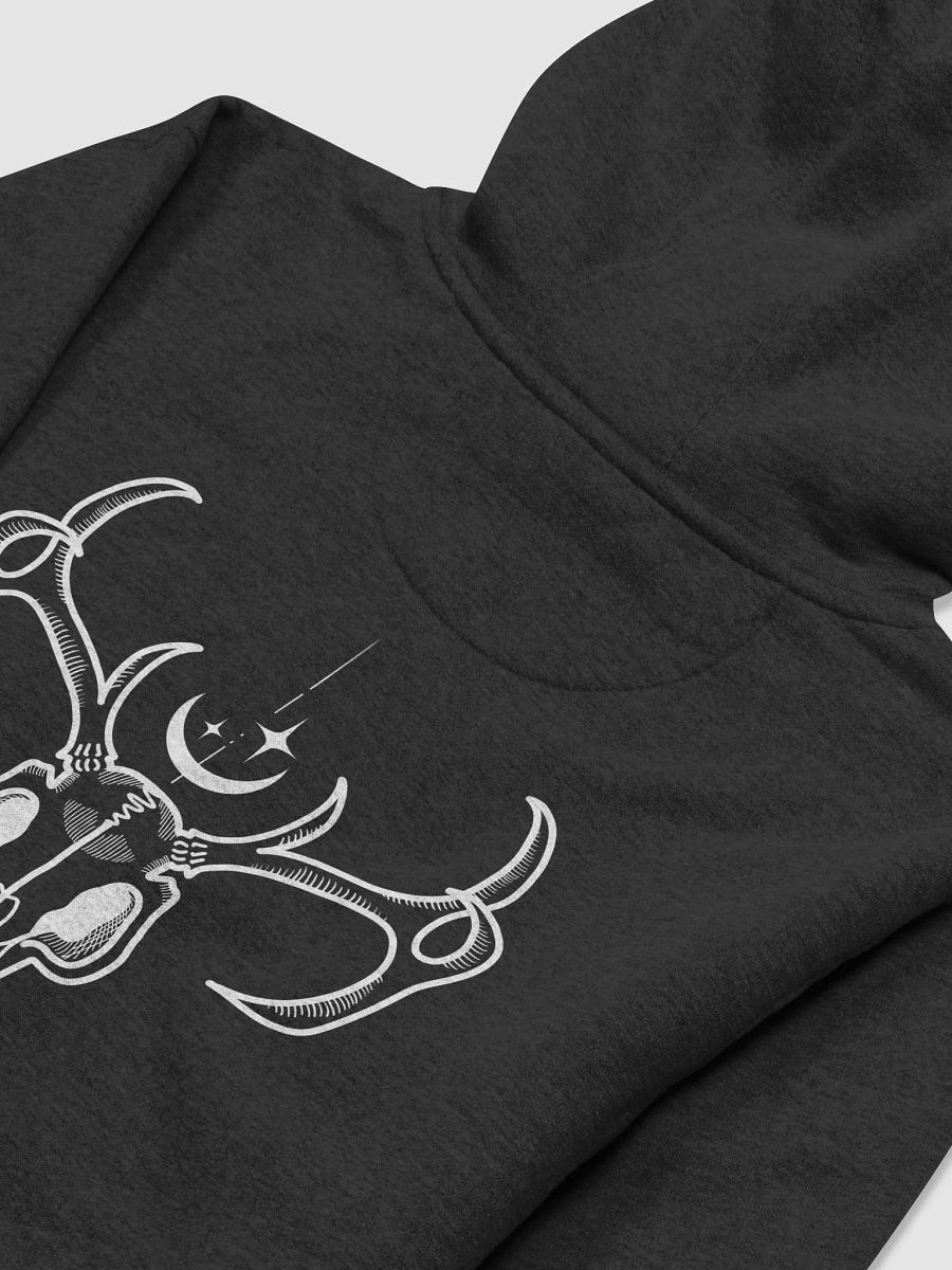 Carpe Noctem Hoodie product image (4)