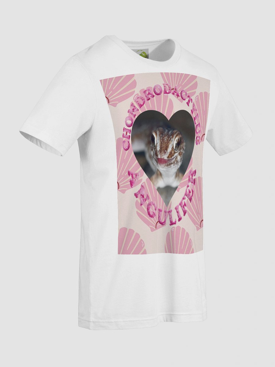 Ground Gecko Summer 5 product image (2)