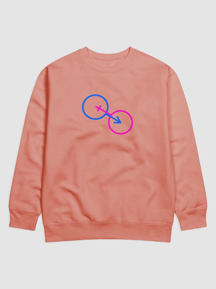 Traditional Male & Female Connectivity Premium Sweatshirt product image (1)