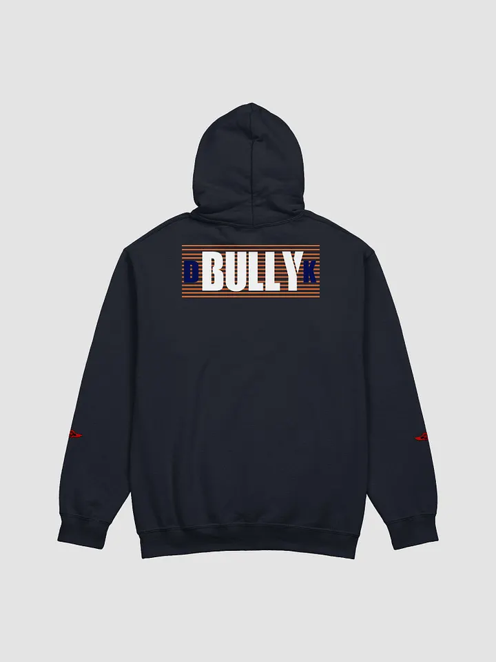 UNDERSTAND FULLY (HOODIE ) LD product image (2)