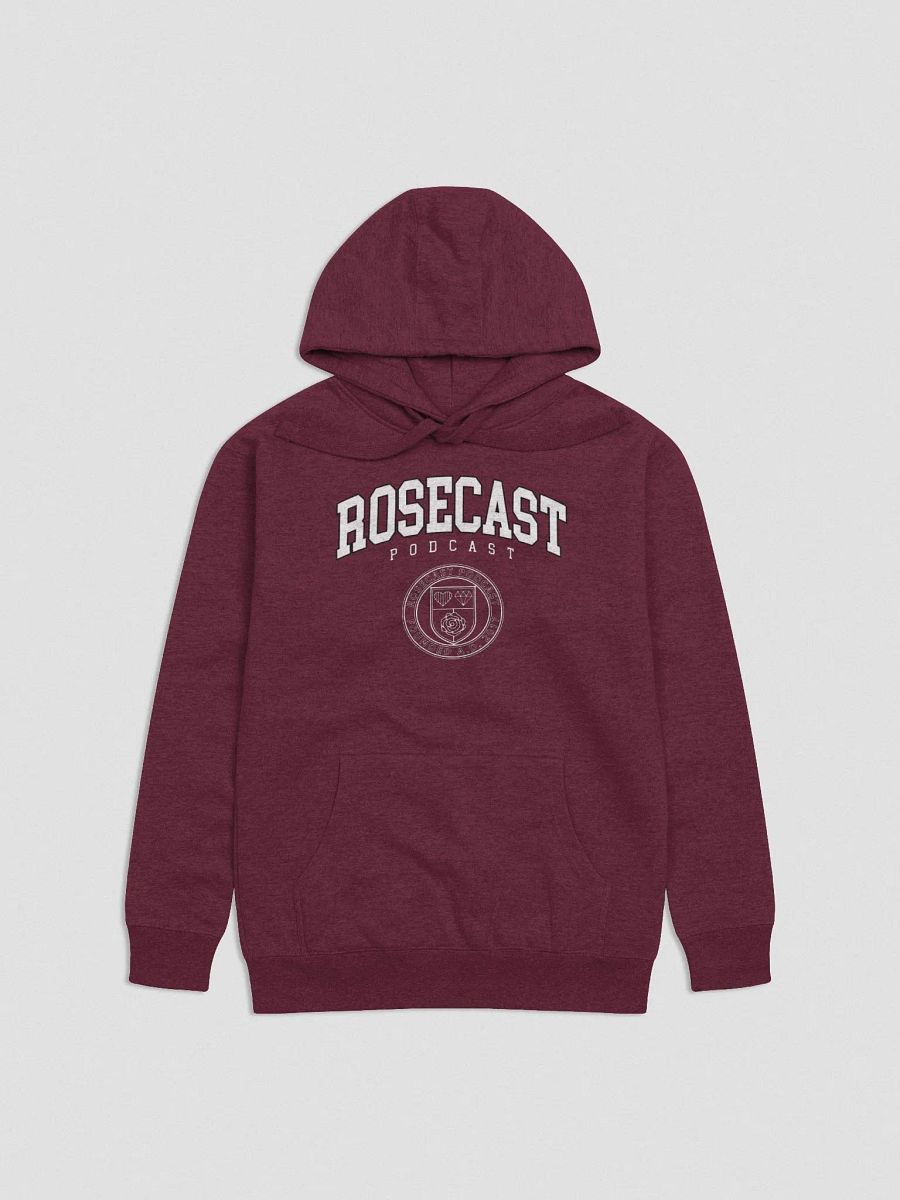 Fancy College Hoodie (Premium) product image (2)