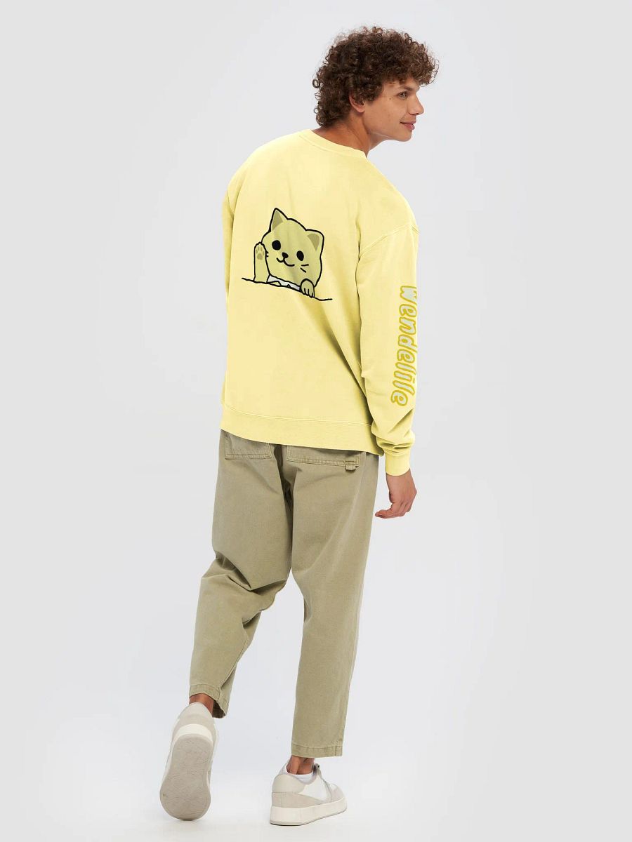 Special Cat Sleeping Sweatshirt product image (4)
