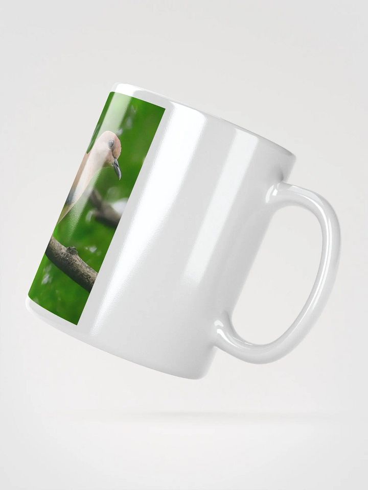 IUCAA Birds MUG product image (2)