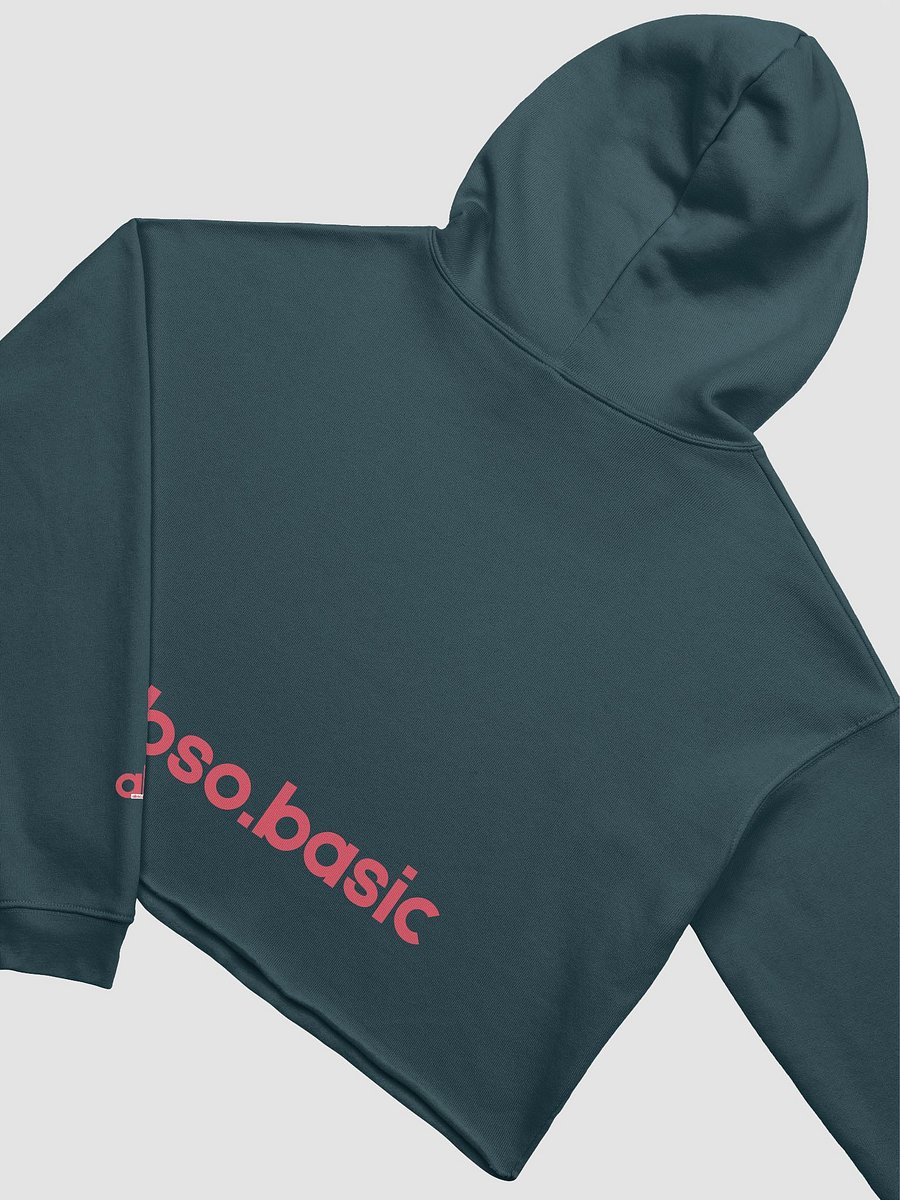 She's Bad Vintage Crop Hoodie product image (18)