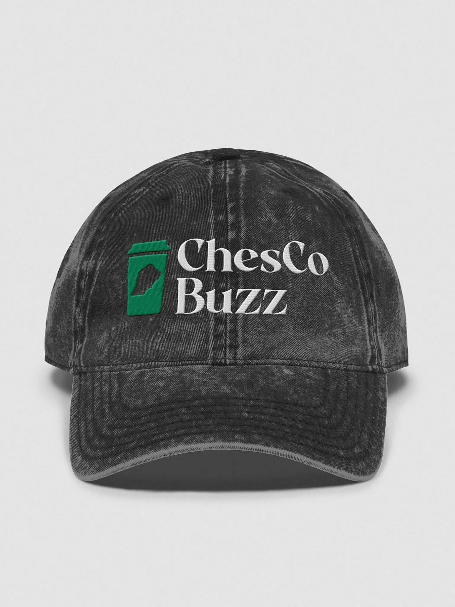 ChesCo Buzz Dad Hat product image (1)