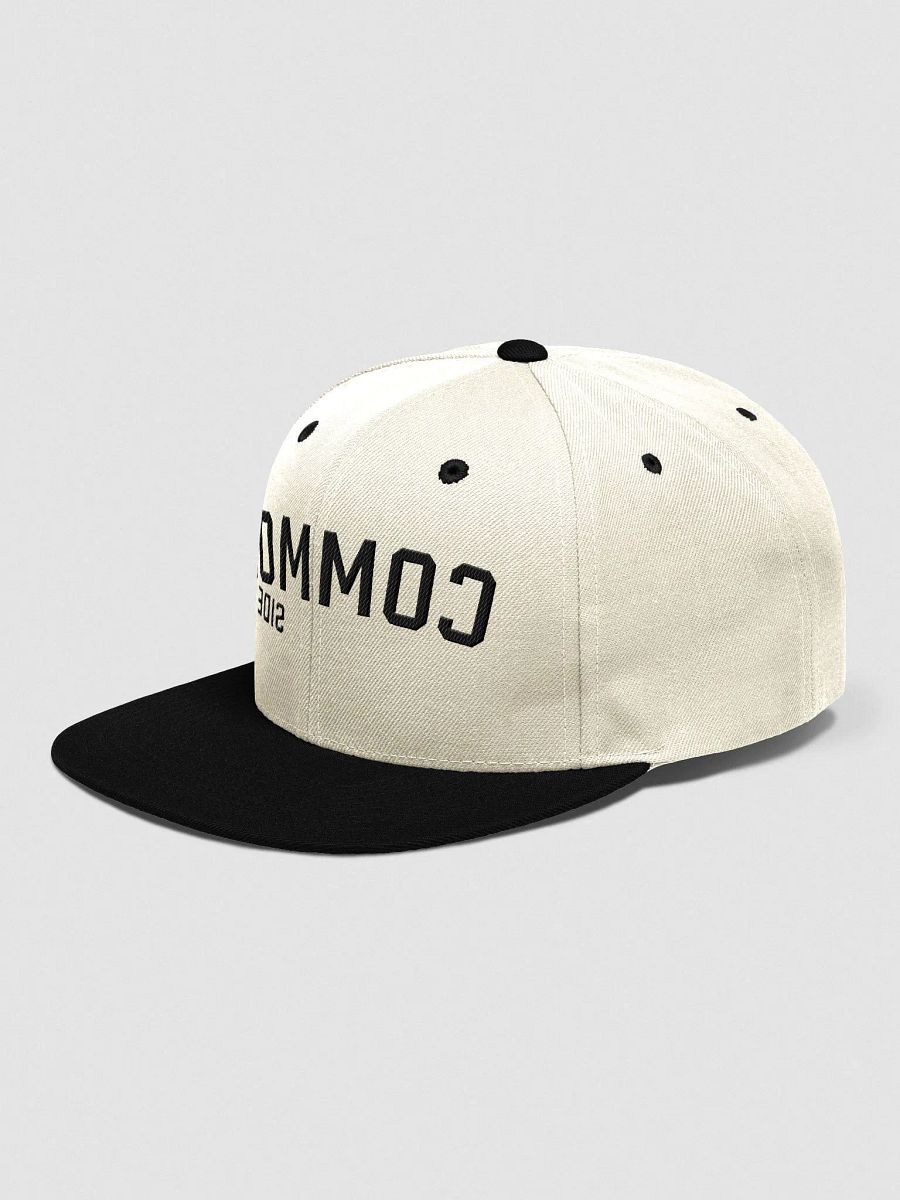 Pregame Snapback product image (3)