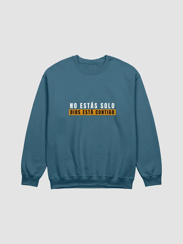 Sudadera Unisex Cuello Redondo | No estás solo product image (17)
