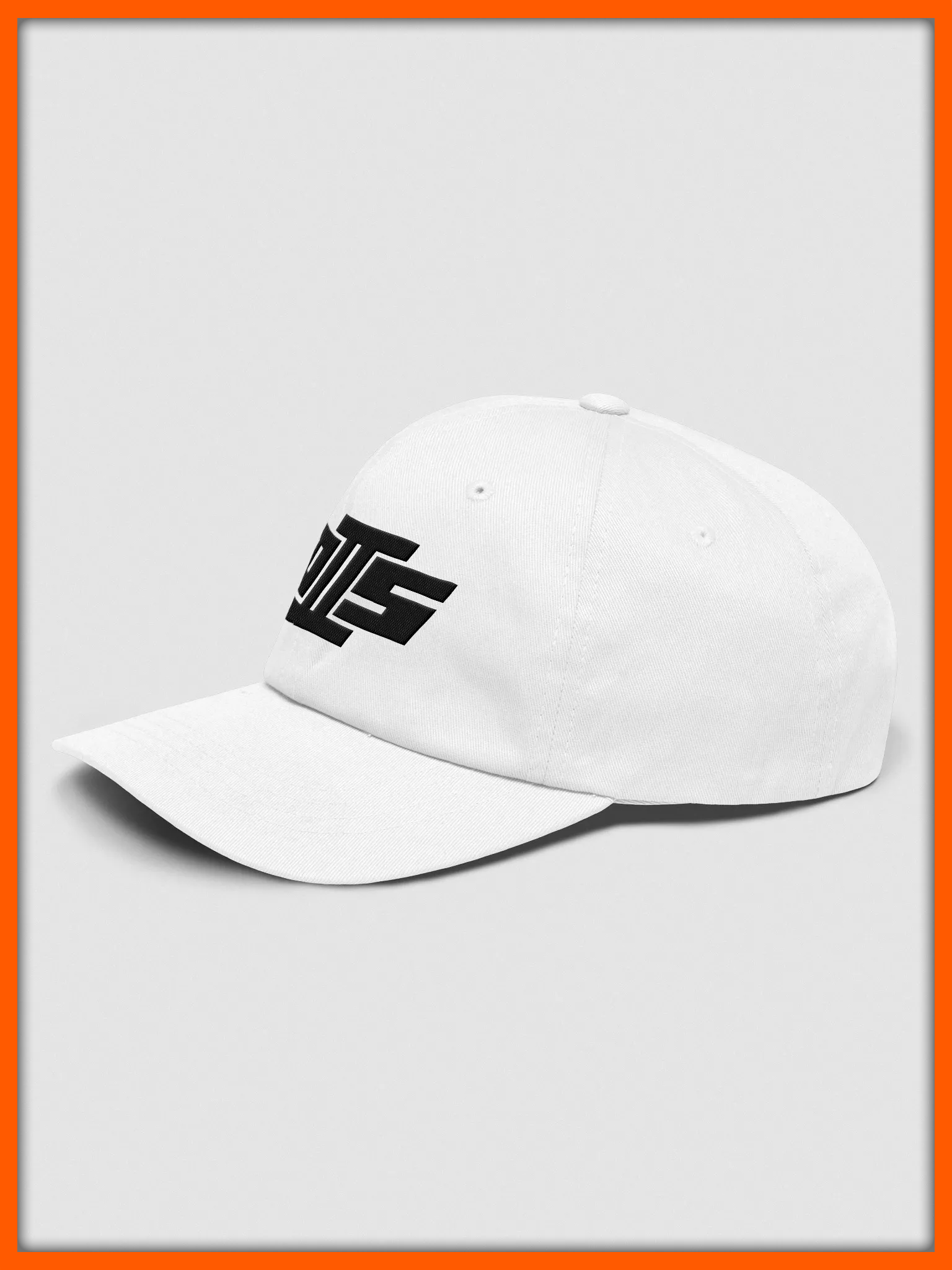 D2S "Coal" Dad Hat product image (3)