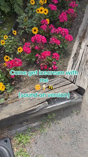 Local icecream on a hot summer day🌞🐝🩷 

~ 

#cozygamingcommunity #sweettreat #vlog #vlogger #vlogging #cozygamer #cozyhobby