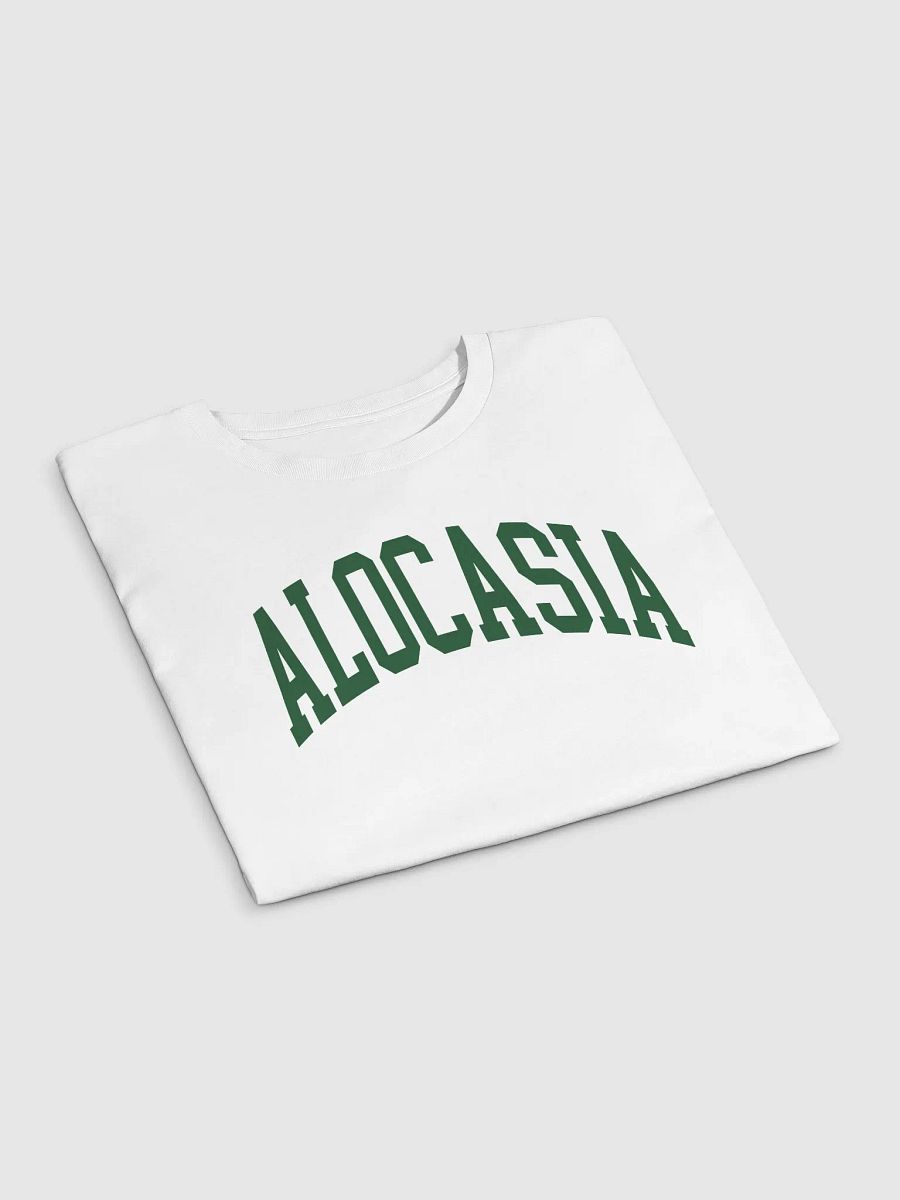 ALOCASIA varsity crop top product image (5)
